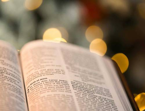 Finding Joy in the Chaos